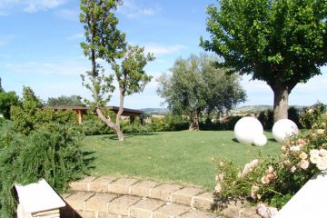 Terrario con piante – Reverde Regini Garden – Fiori e Piante Regini